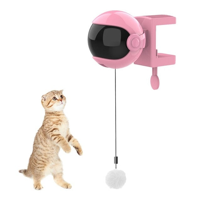 Funny Cat Teaser Ball Toy