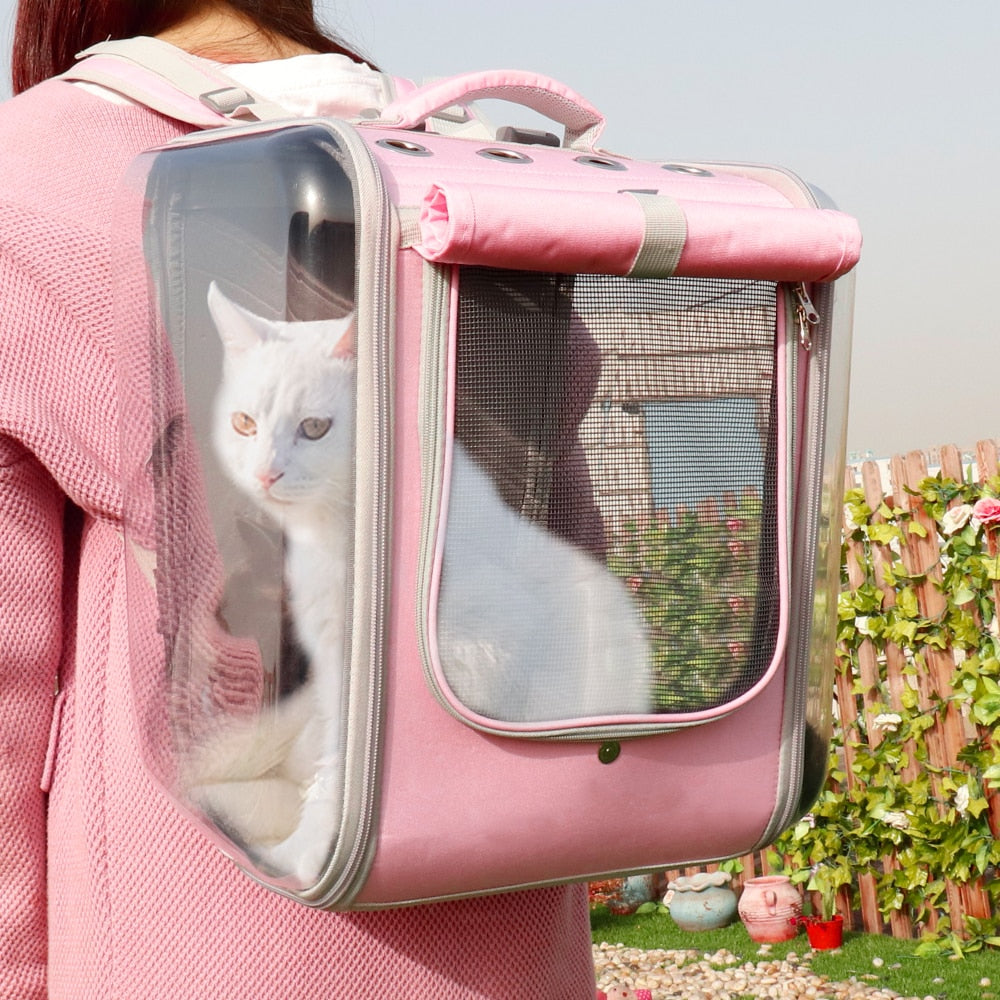 Cat carrier for clearance sale