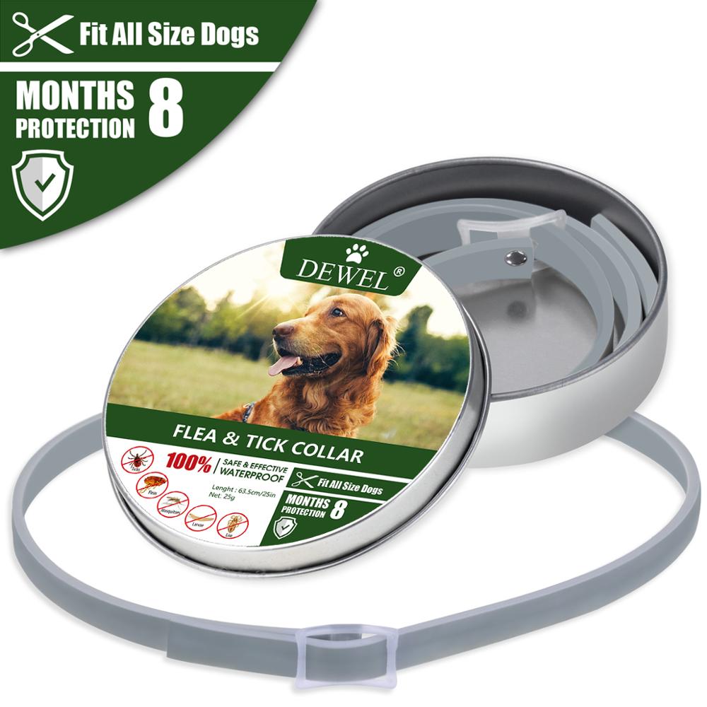 Anti Flea Collar