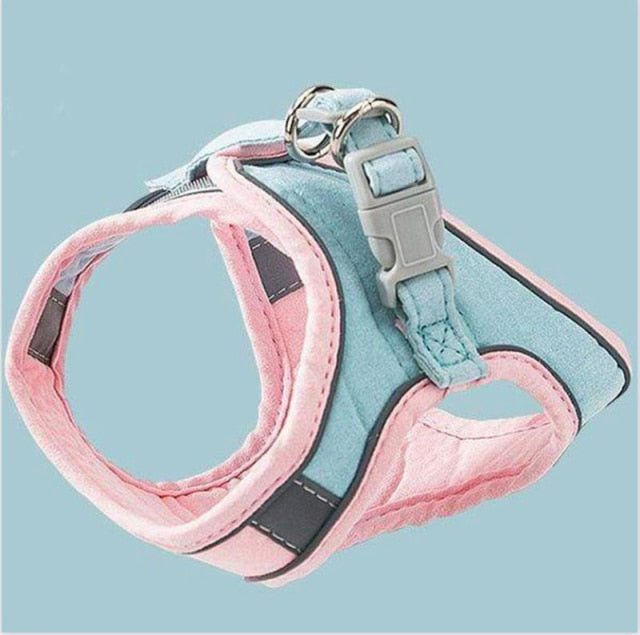 Cat Harness